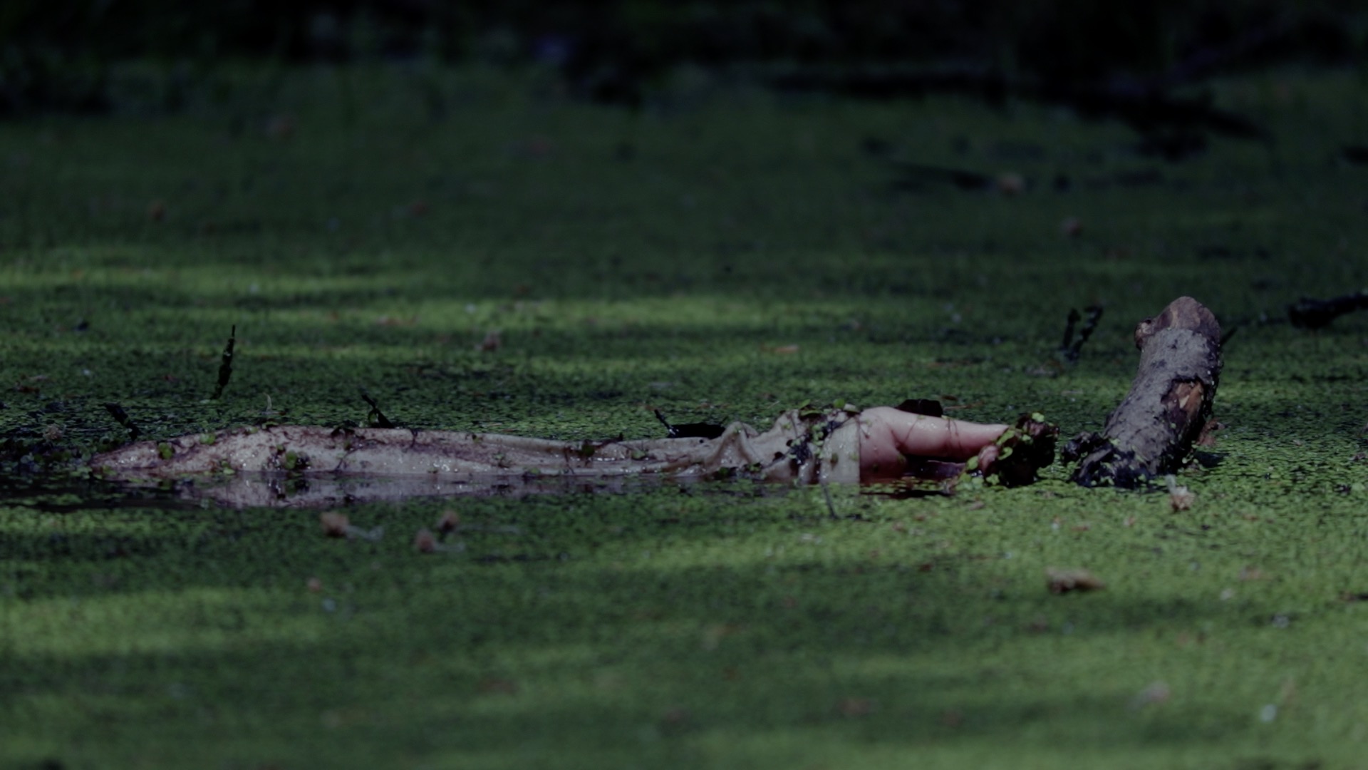 Linh har ombestemt sig screen 2