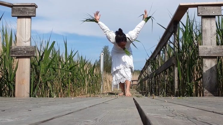 Skærmbillede 2020-06-20 00.51.23