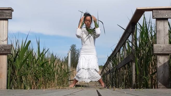 Skærmbillede 2020-06-20 00.53.25