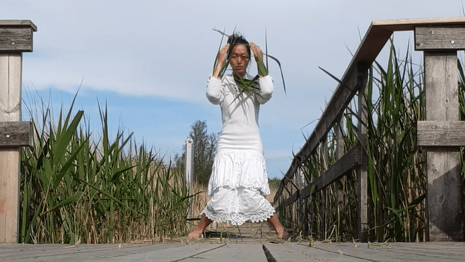 Skærmbillede 2020-06-20 00.53.25