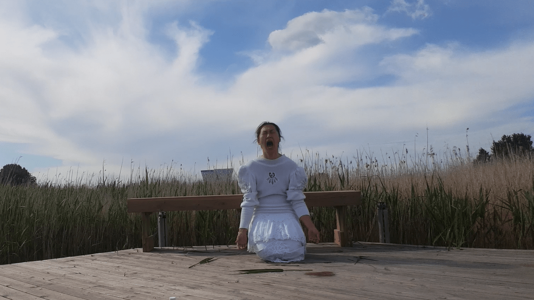 Skærmbillede 2020-06-20 00.56.05