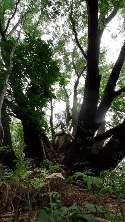 Skærmbillede 2020-06-25 23.01.14