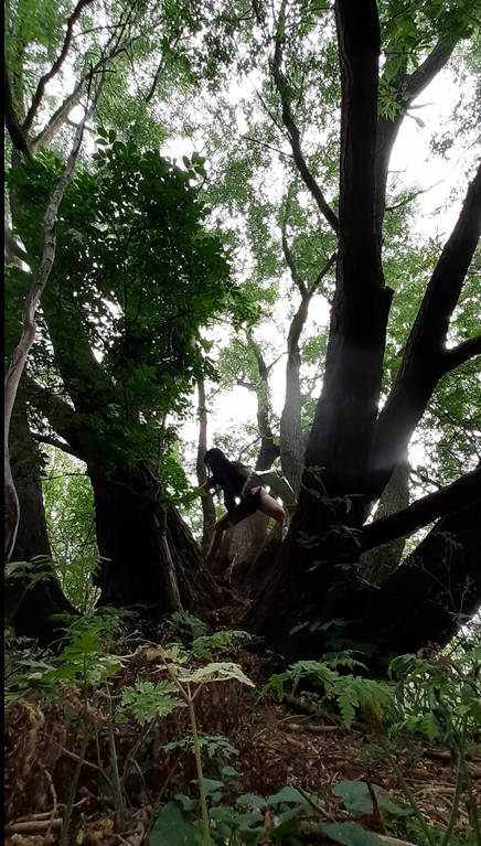 Skærmbillede 2020-06-25 23.03.17